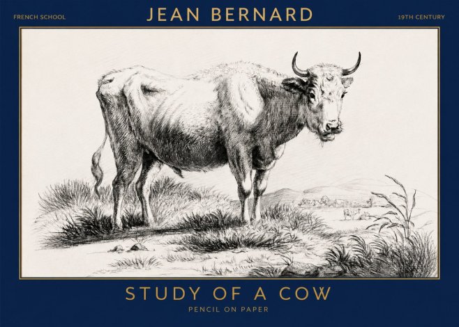 Jean Bernard Study of a Cow XVI No3 - Poszter