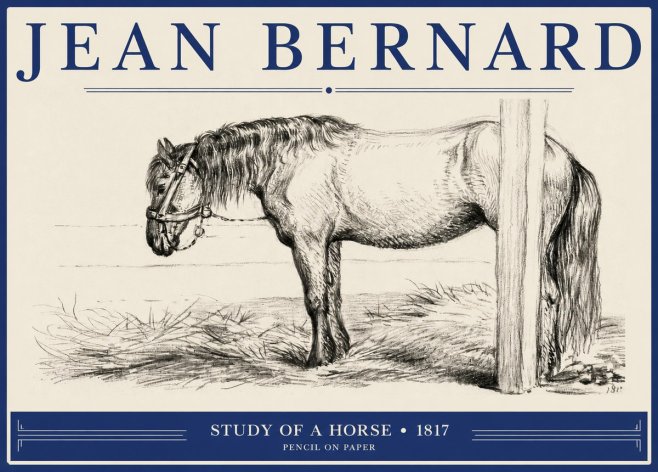 Jean Bernard Study of a Horse XII No2 - Poszter