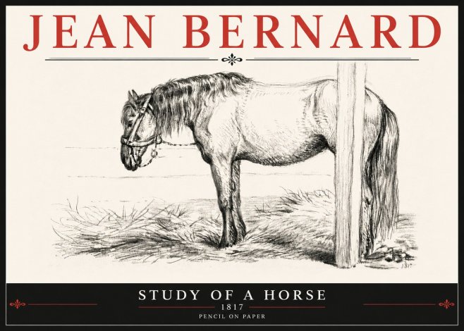 Jean Bernard Study of a Horse XII No6 - Poszter
