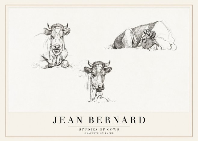 Jean Bernard Studies of Cows II No1 - Poszter