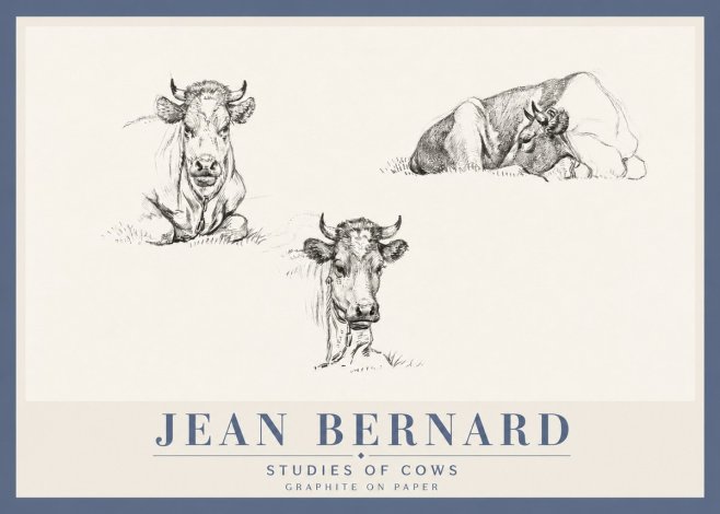 Jean Bernard Studies of Cows II No4 - Poszter