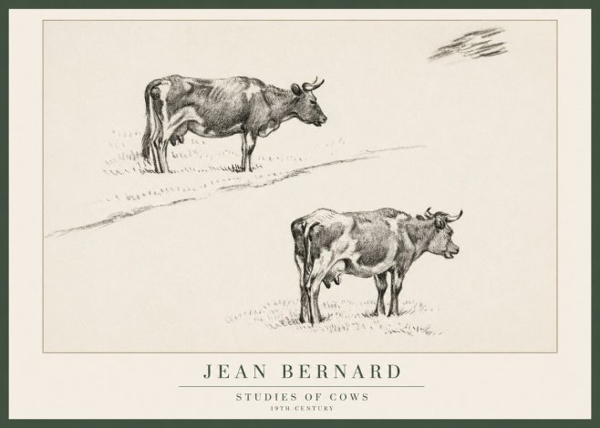 Jean Bernard Studies of Cows III No1 - Poszter