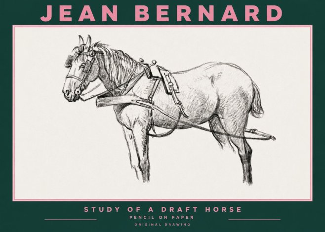 Jean Bernard Study of a Draft Horse I No3 - Poszter