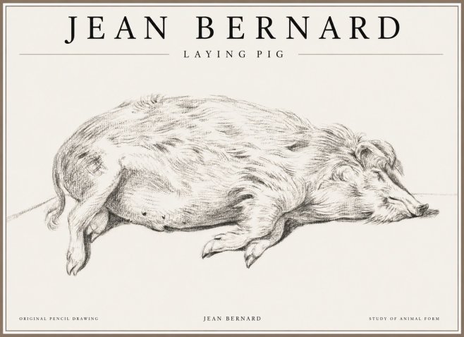 Jean Bernard Laying Pig No1 - Poszter