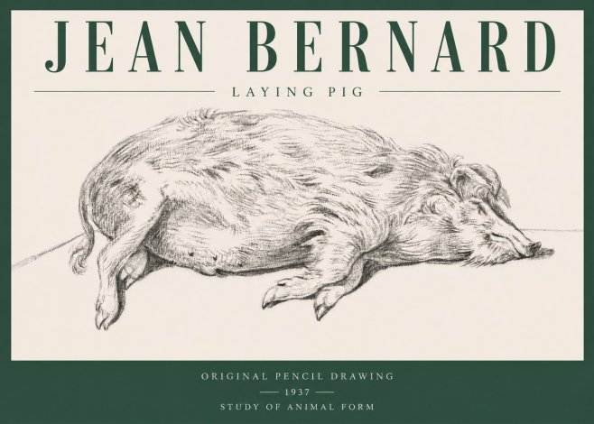 Jean Bernard Laying Pig No3 - Poszter