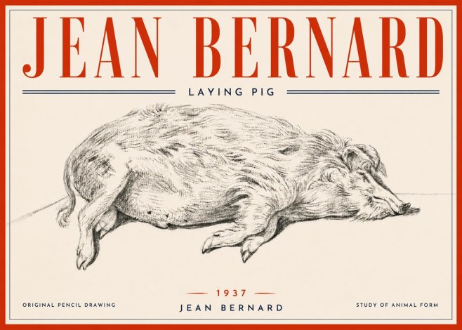 Jean Bernard Laying Pig No6 - Poszter