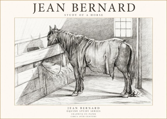 Jean Bernard Study of a Horse XIII No1 - Poszter