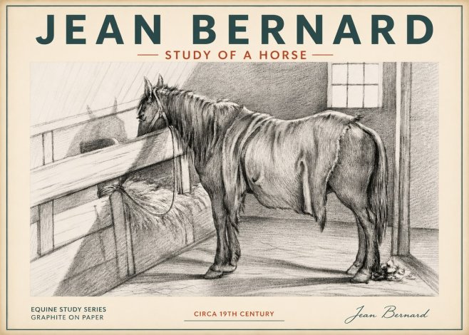 Jean Bernard Study of a Horse XIII No4 - Poszter