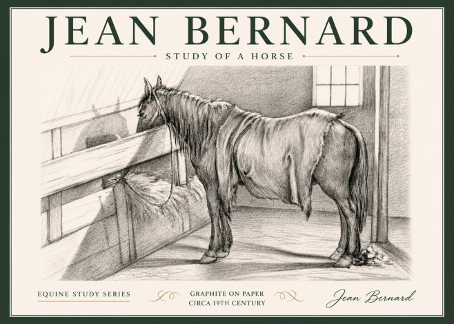 Jean Bernard Study of a Horse XIII No5 - Poszter