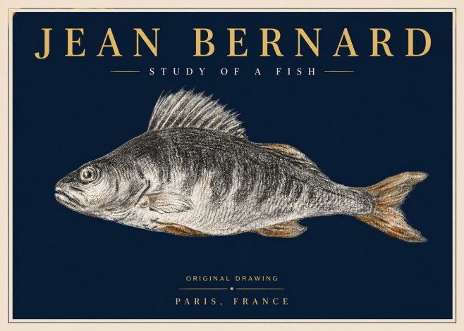 Jean Bernard Study of a Fish IV No6 - Poszter