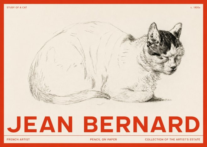 Jean Bernard Study of a Cat III No2 - Poszter