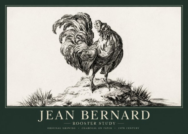 Jean Bernard Study of a Rooster No2 - Poszter