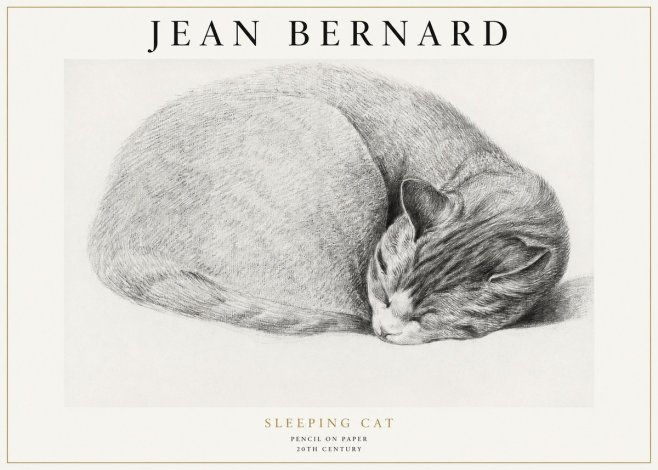 Jean Bernard Sleeping Cat IX No1 - Poszter