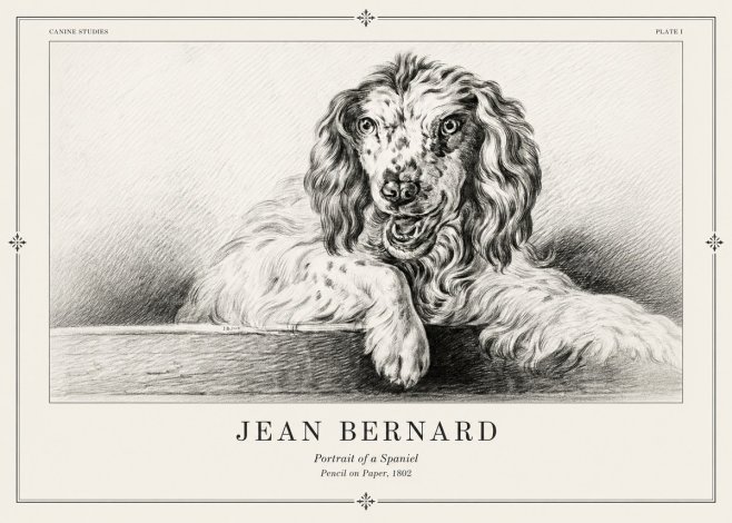Jean Bernard Portrait of a Spaniel No2 - Poszter