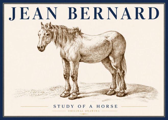 Jean Bernard Study of a Horse XIV No6 - Poszter