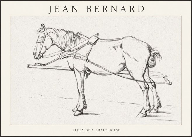 Jean Bernard Study of a Draft Horse II No1 - Poszter
