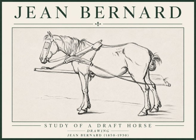 Jean Bernard Study of a Draft Horse II No4 - Poszter