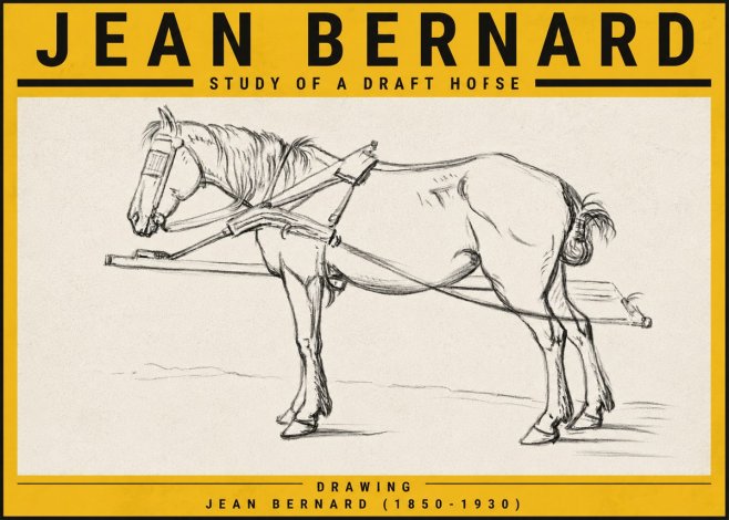 Jean Bernard Study of a Draft Horse II No5 - Poszter