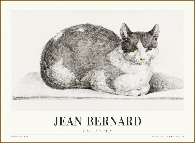 Jean Bernard Cat Study XI No1 - Poszter