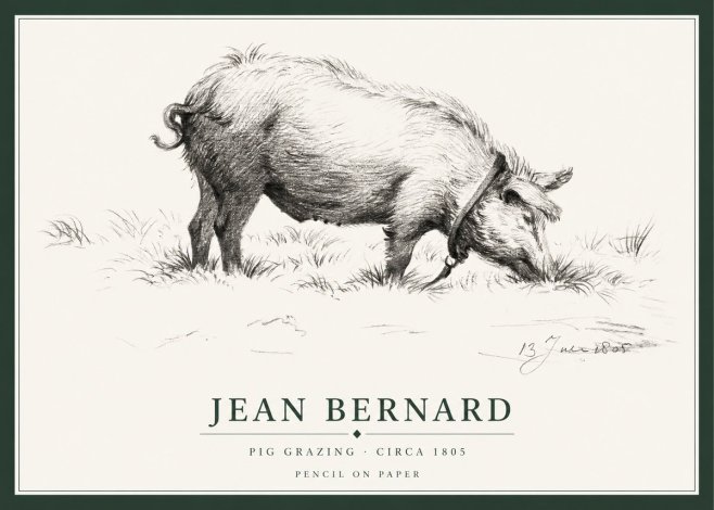 Jean Bernard Pig Grazing No1 - Poszter