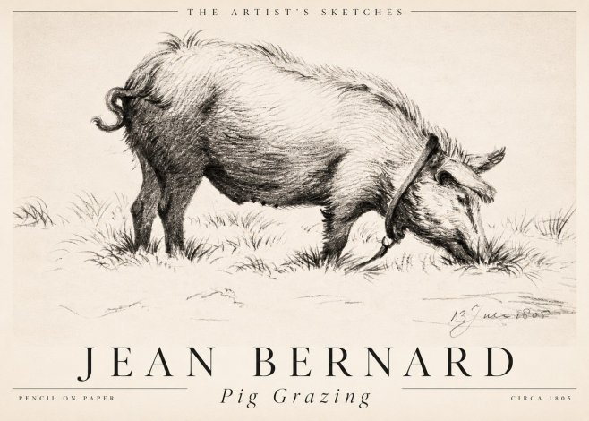 Jean Bernard Pig Grazing No2 - Poszter