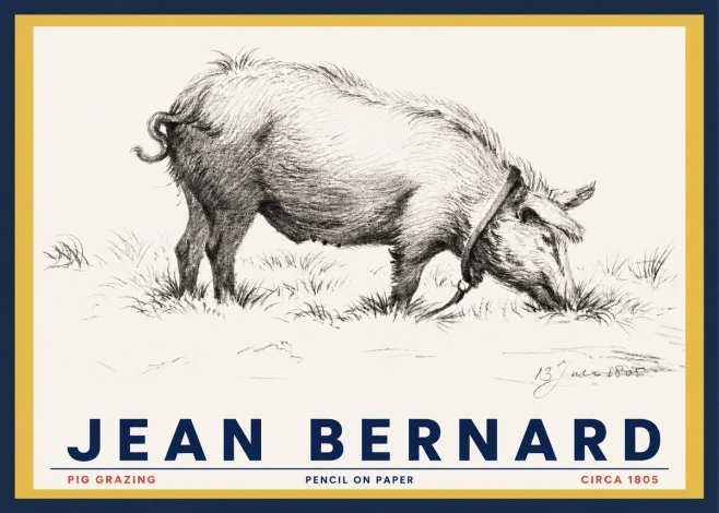 Jean Bernard Pig Grazing No3 - Poszter