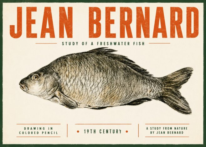 Jean Bernard Study of a Freshwater Fish No5 - Poszter