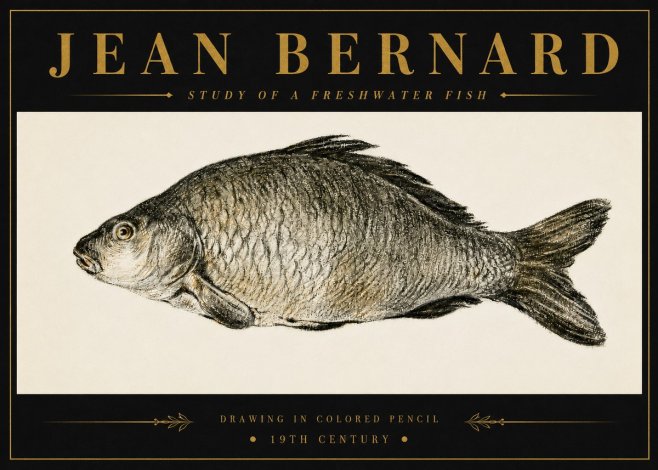 Jean Bernard Study of a Freshwater Fish No6 - Poszter