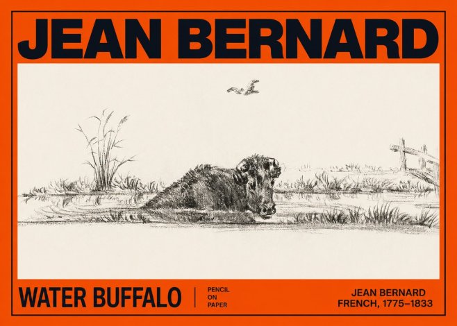 Jean Bernard Study of a Water Buffalo No3 - Poszter