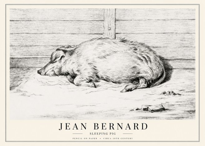 Jean Bernard Sleeping Pig I No1 - Poszter