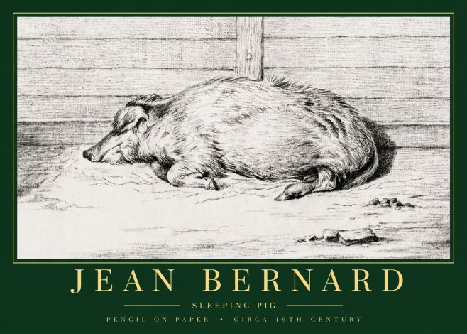 Jean Bernard Sleeping Pig I No3 - Poszter