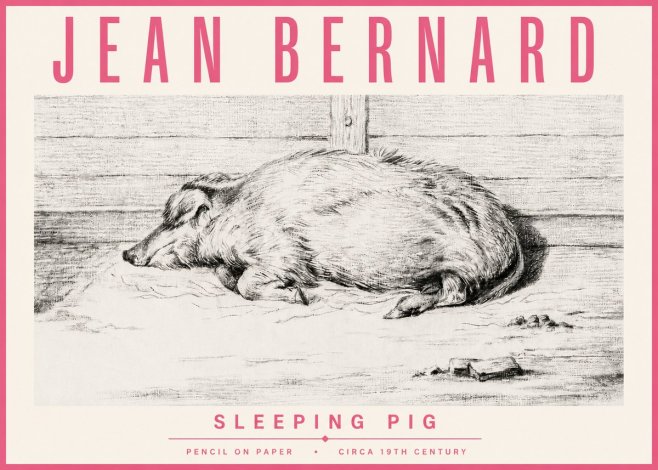 Jean Bernard Sleeping Pig I No4 - Poszter