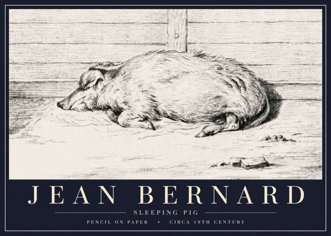 Jean Bernard Sleeping Pig I No6 - Poszter
