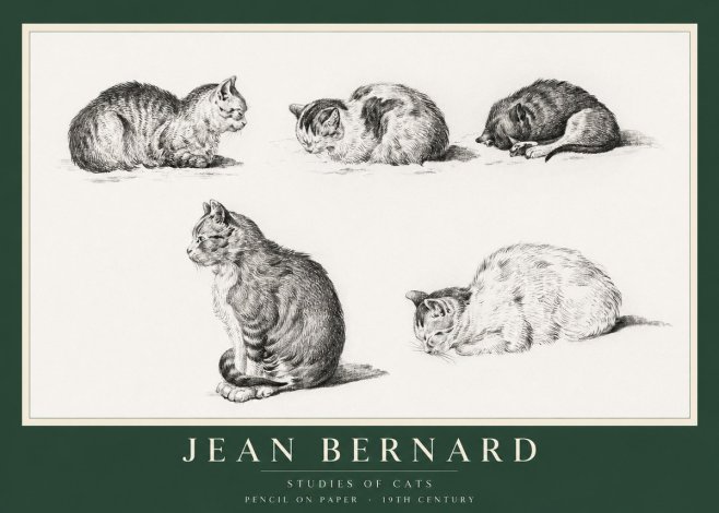 Jean Bernard Studies of Cats No1 - Poszter