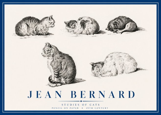 Jean Bernard Studies of Cats No3 - Poszter