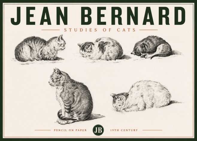 Jean Bernard Studies of Cats No4 - Poszter