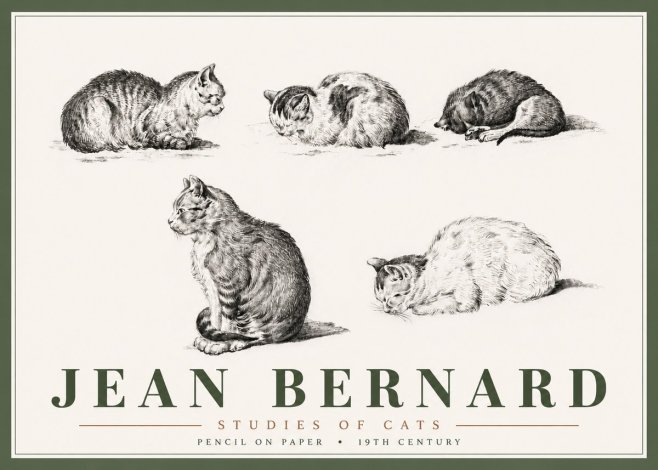 Jean Bernard Studies of Cats No6 - Poszter