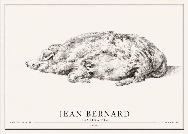 Jean Bernard Resting Pig II No1 - Poszter