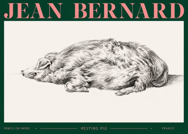 Jean Bernard Resting Pig II No2 - Poszter