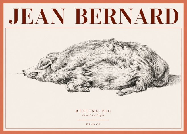 Jean Bernard Resting Pig II No4 - Poszter