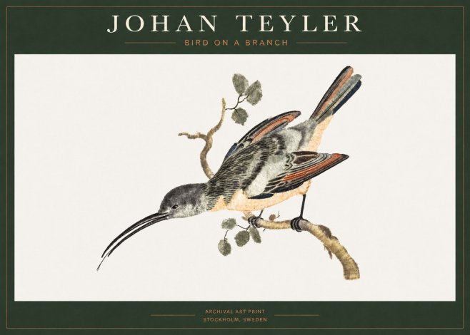 Johan Teyler Bird on a Branch No1 - Poszter