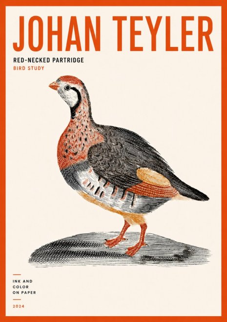 Johan Teyler Red-necked Partridge No5 - Poszter