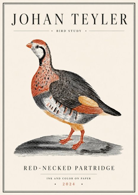 Johan Teyler Red-necked Partridge No6 - Poszter