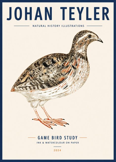 Johan Teyler Game Bird Study No3 - Poszter