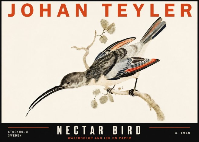 Johan Teyler Nectar Bird No6 - Poszter