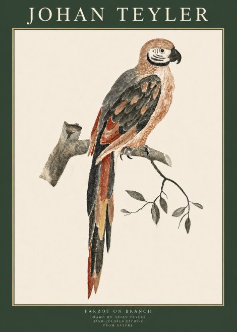 Johan Teyler Parrot on Branch No1 - Poszter
