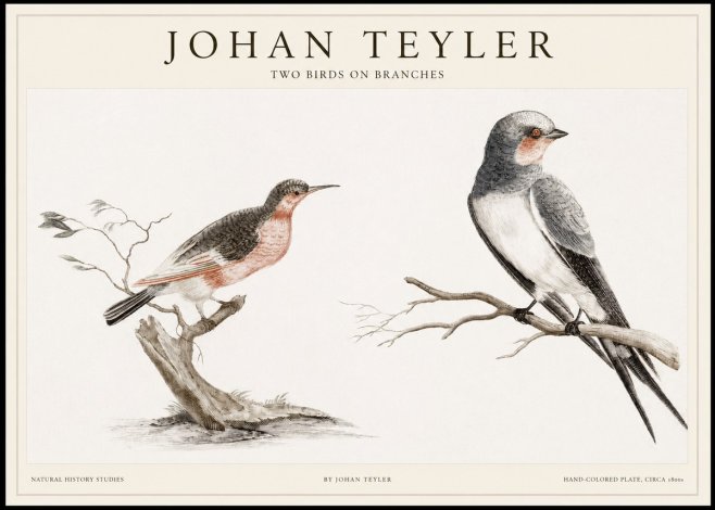 Johan Teyler Two Birds on Branches No1 - Poszter