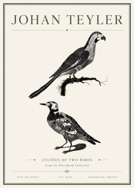 Johan Teyler Birds - Study of Two Species No6 - Poszter