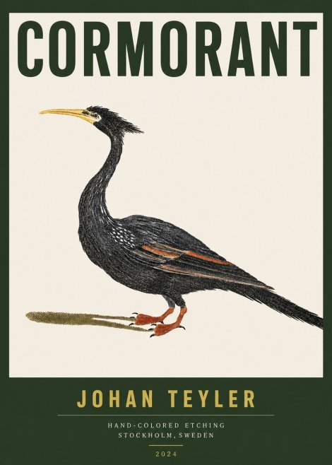 Johan Teyler Cormorant No3 - Poszter