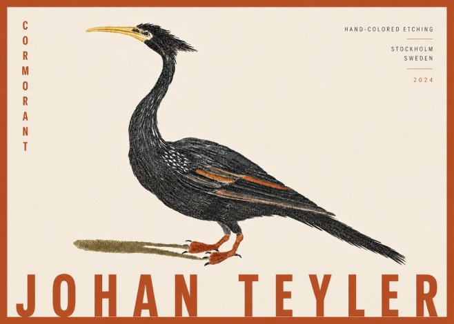 Johan Teyler Cormorant No4 - Poszter